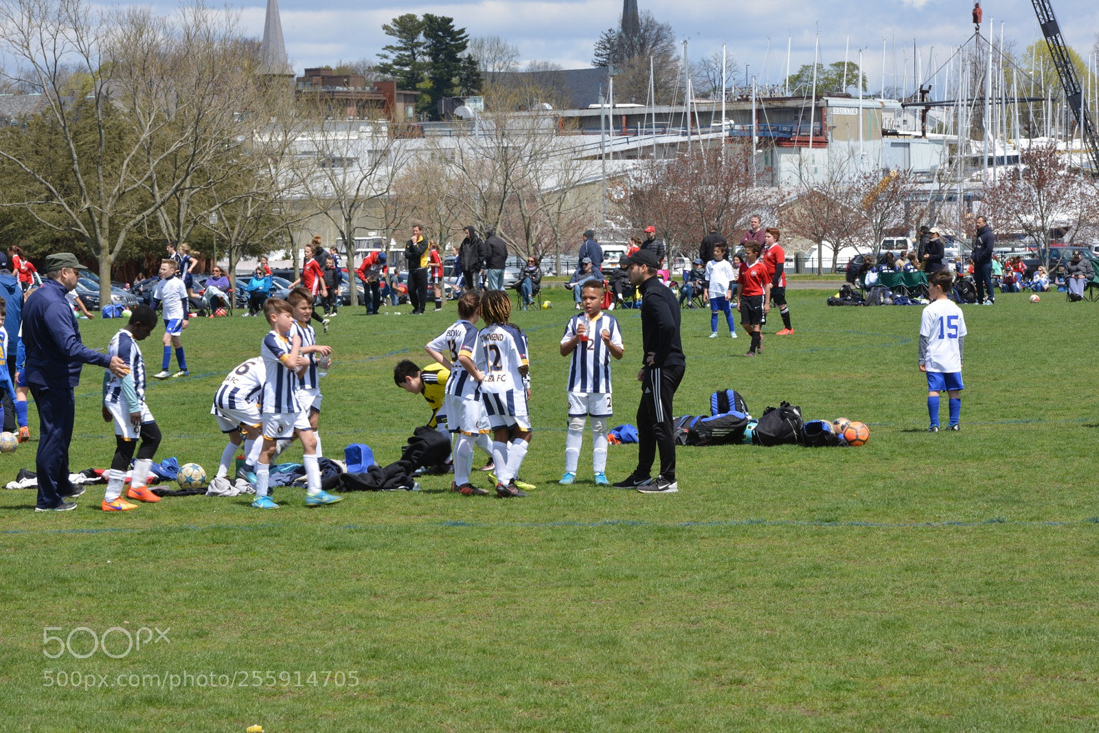 Nikon D800 sample photo. Storm vs silverknights photography