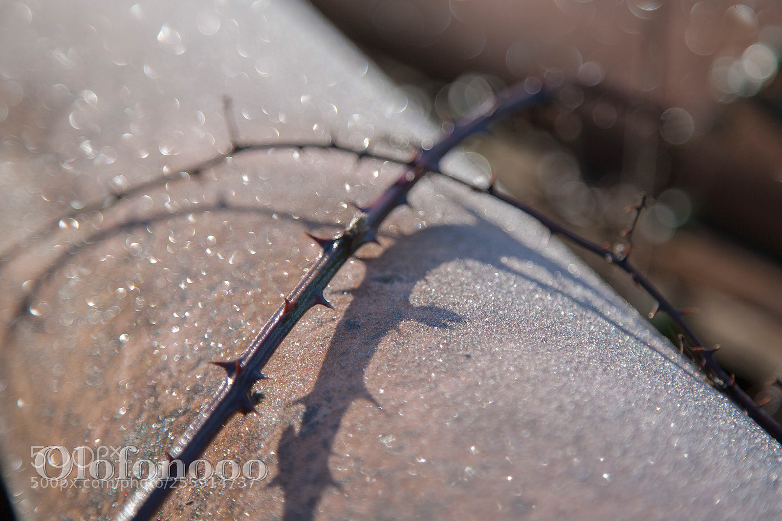 Canon EOS 5D sample photo. Sharp versus hard photography