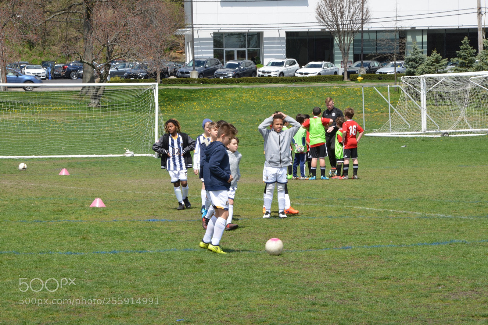 Nikon D800 sample photo. Storm vs silverknights photography