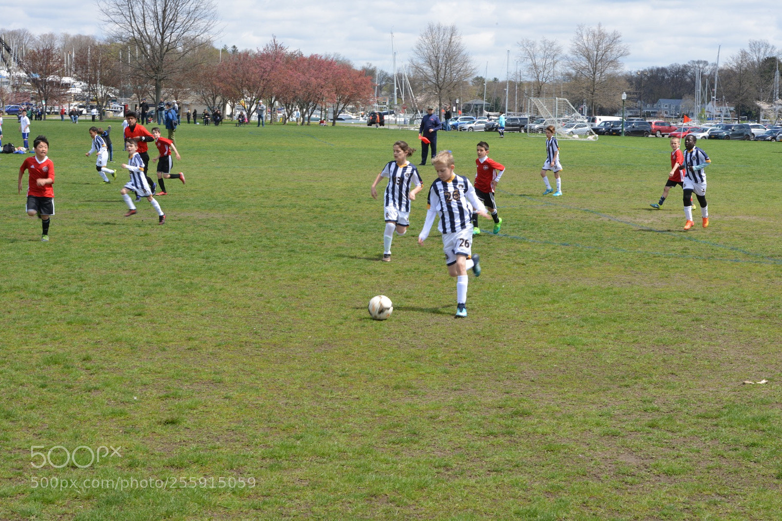 Nikon D800 sample photo. Storm vs silverknights photography