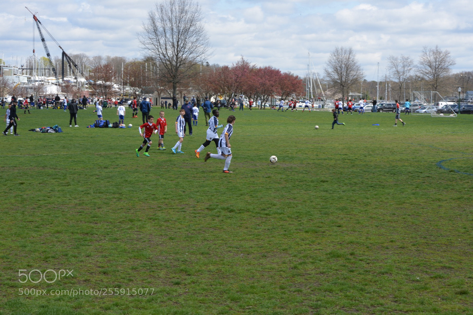 Nikon D800 sample photo. Storm vs silverknights photography