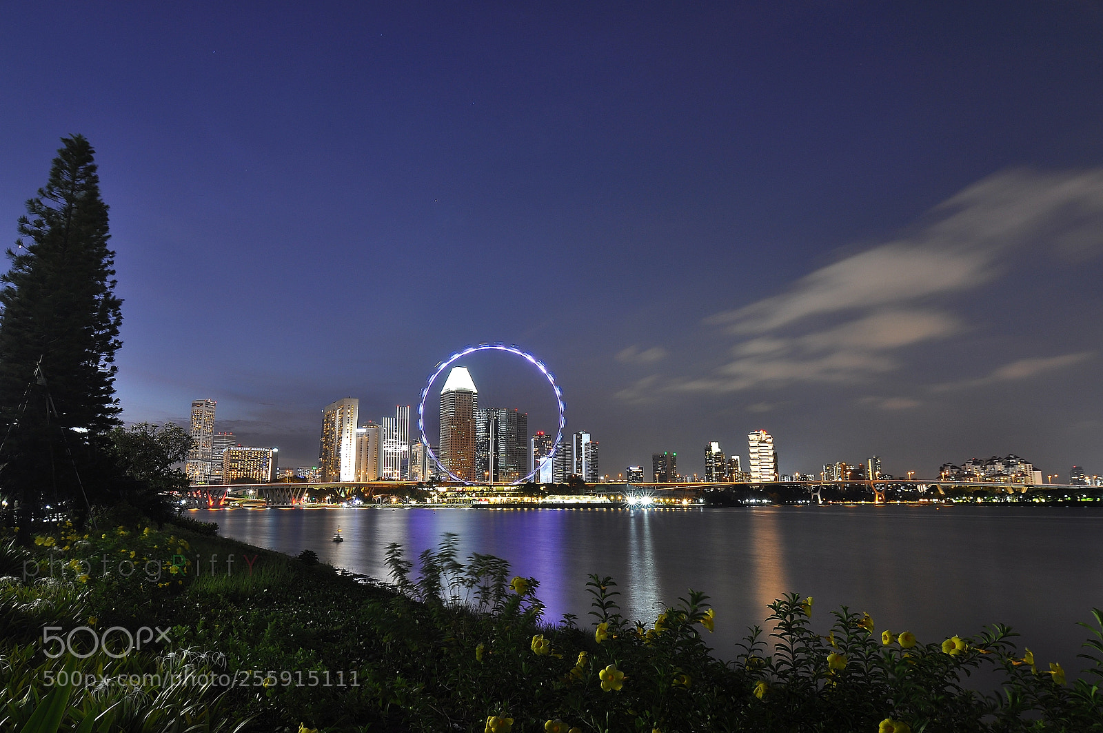 Nikon D90 sample photo. F l y e photography