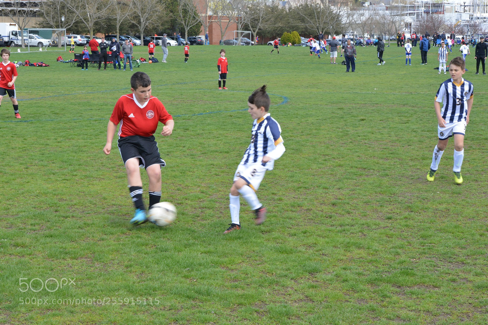Nikon D800 sample photo. Storm vs silverknights photography