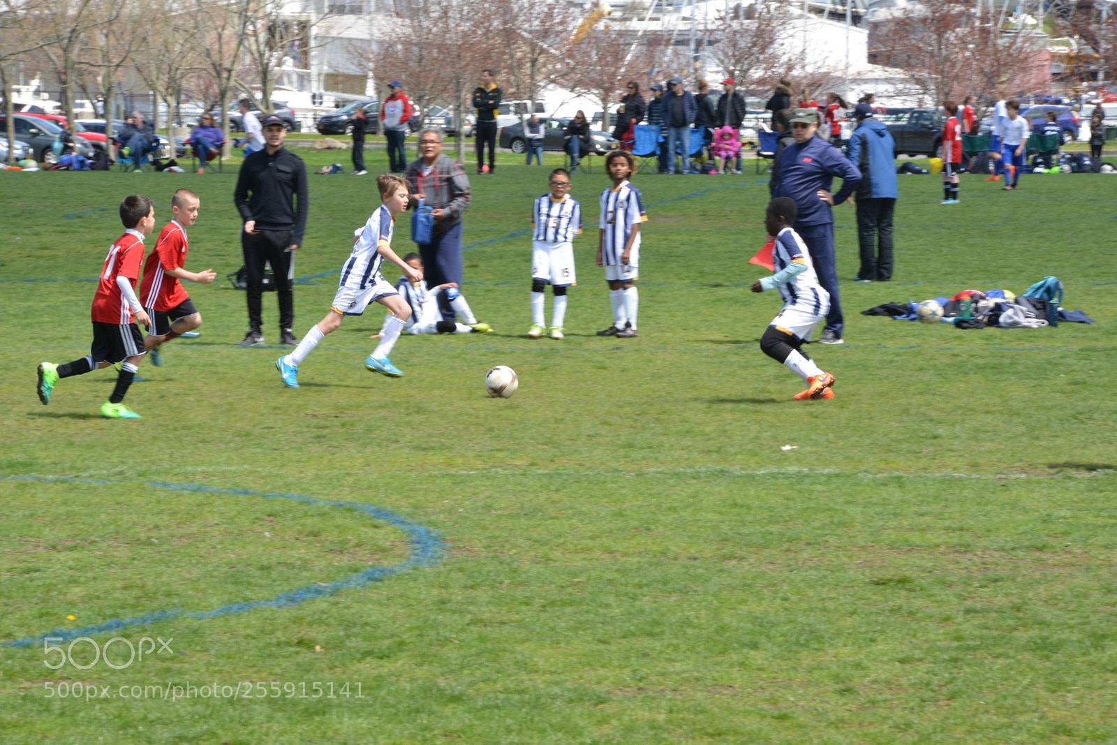 Nikon D800 sample photo. Storm vs silverknights photography