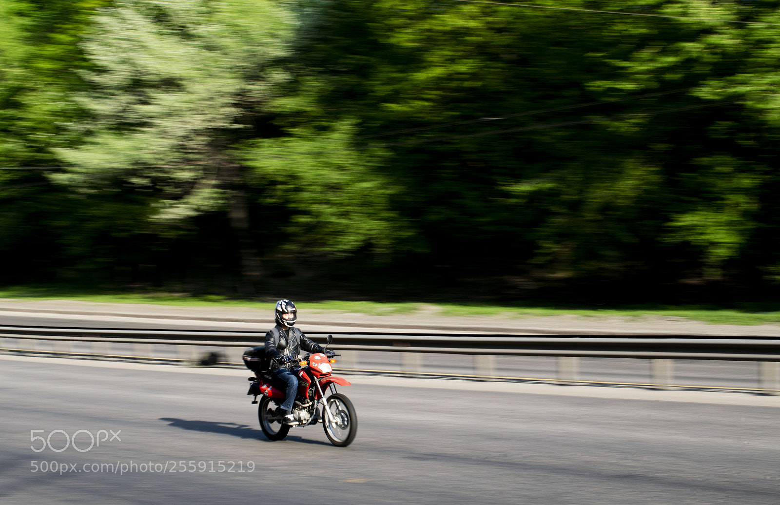 Nikon D3300 sample photo. Speed photography