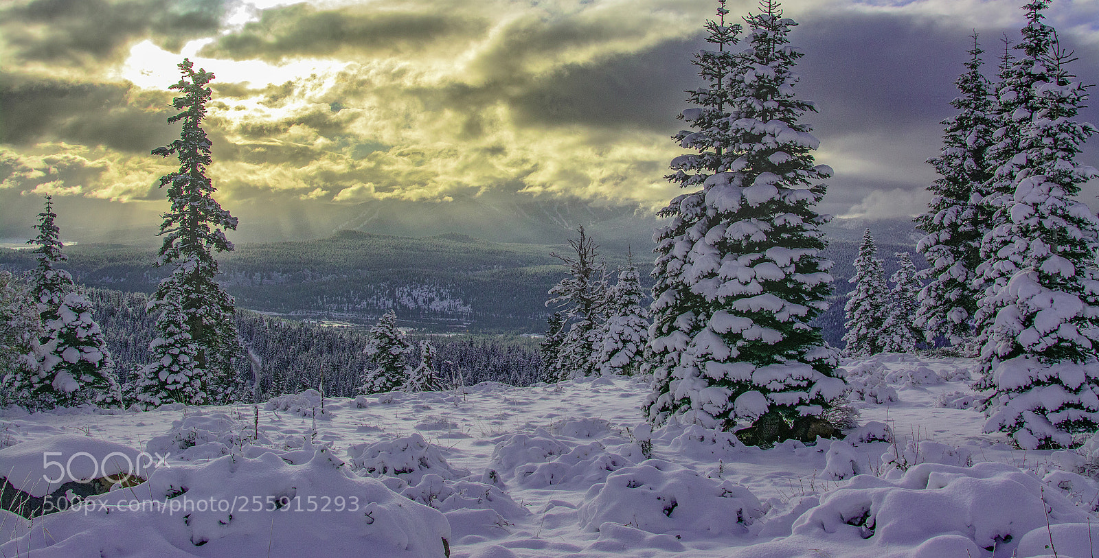 Nikon D7100 sample photo. Glorious sunrise in sierra photography
