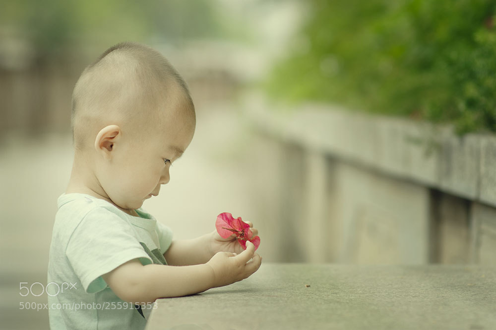 Nikon D300 sample photo. Peacetime photography