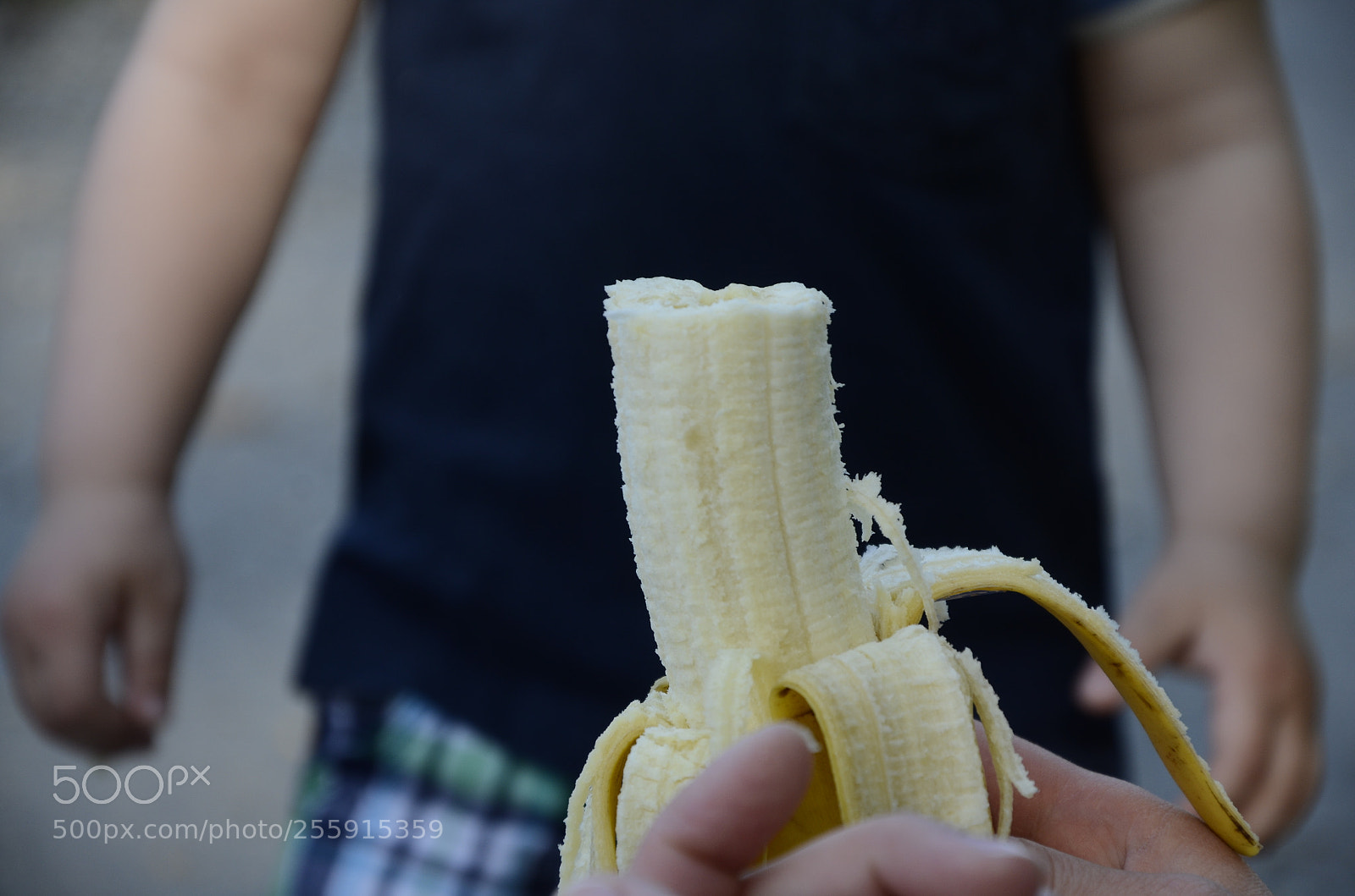 Nikon D7000 sample photo. Banana time photography