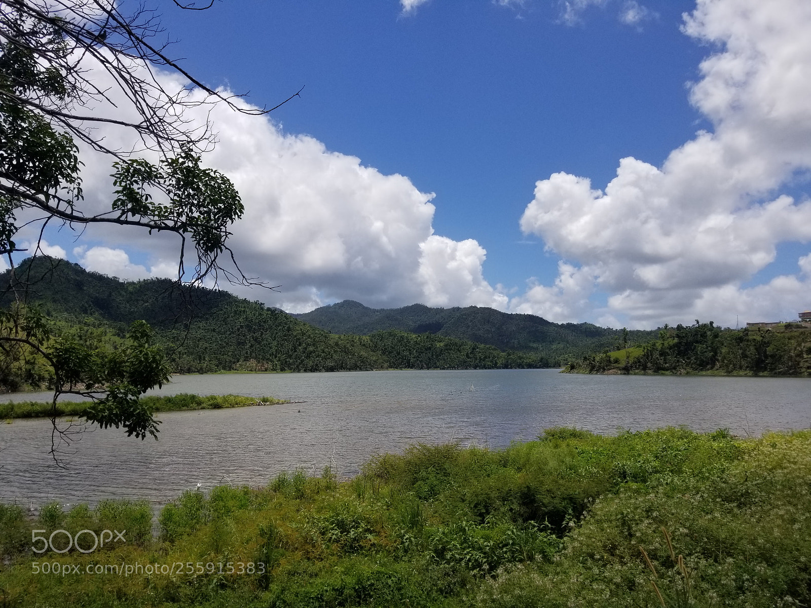 Samsung Galaxy S8+ sample photo. Untitled photography