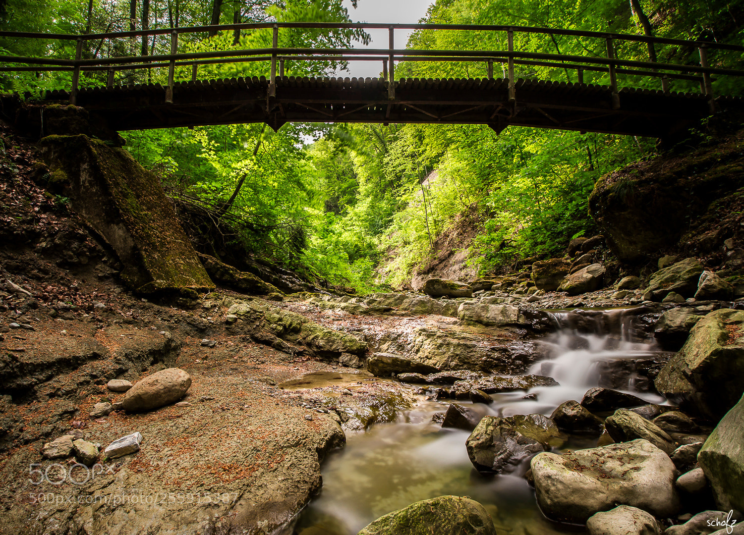 Canon EOS 100D (EOS Rebel SL1 / EOS Kiss X7) sample photo. The forest bridge photography