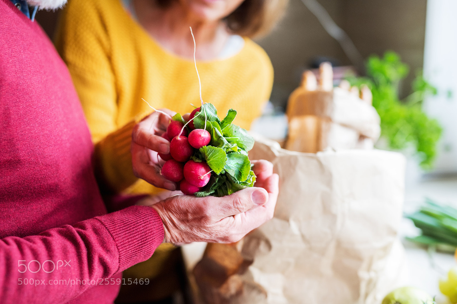 Nikon D5 sample photo. Senior couple unpacking food photography