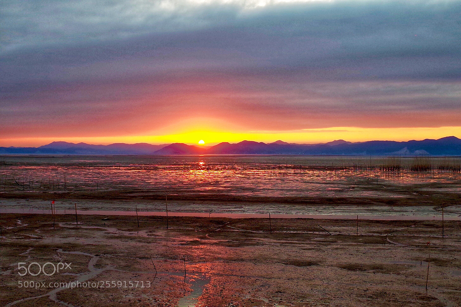 Ricoh GR II sample photo. Sunset in mud flats photography