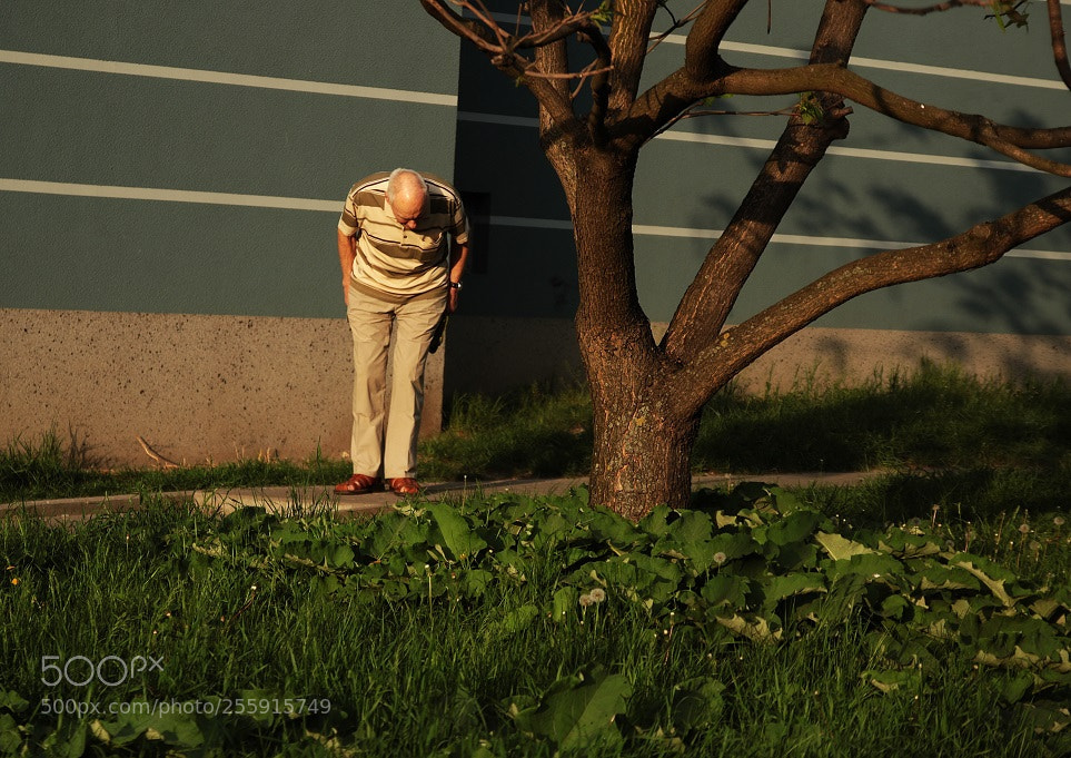 Canon EOS 7D Mark II sample photo. Untitled photography