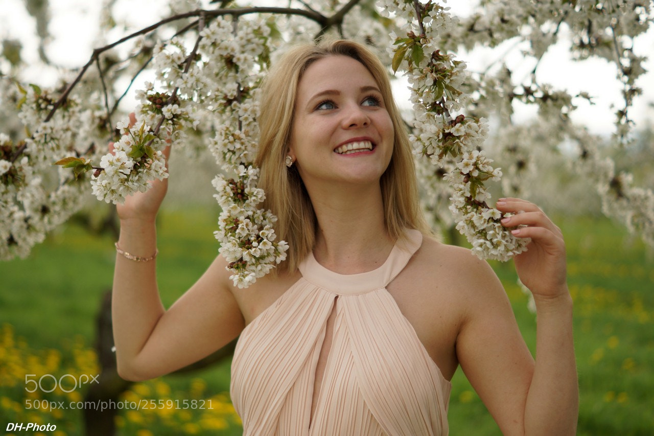 Sony ILCA-77M2 sample photo. Spring beauty with cherry photography