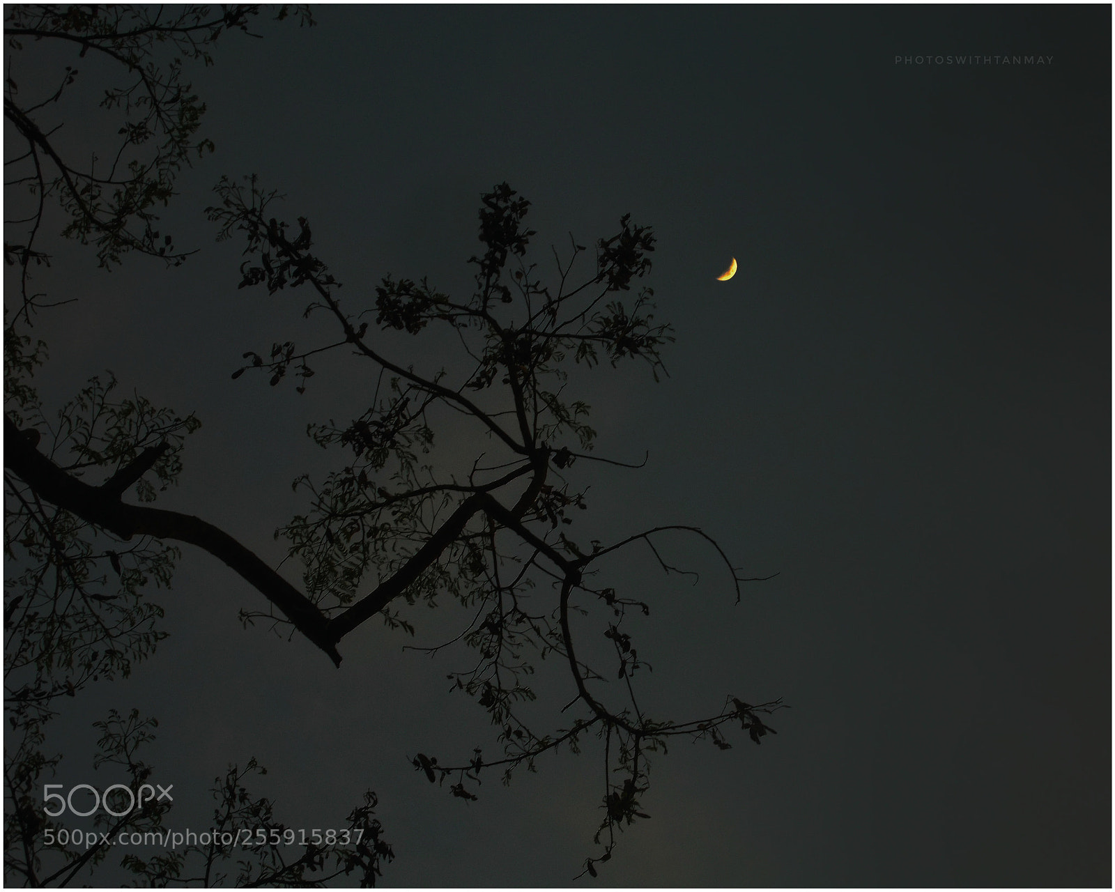 Nikon Coolpix L31 sample photo. Half moon makes me photography