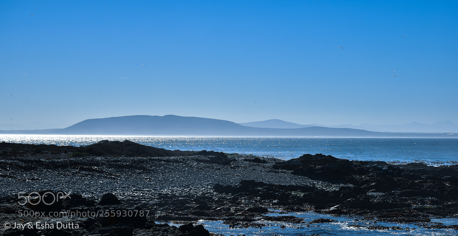 Nikon D5500 sample photo. View from robben island photography