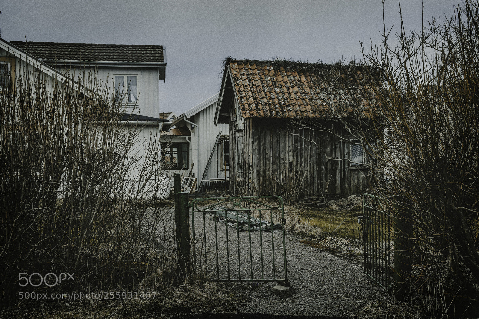 Nikon D5300 sample photo. Abandoned photography