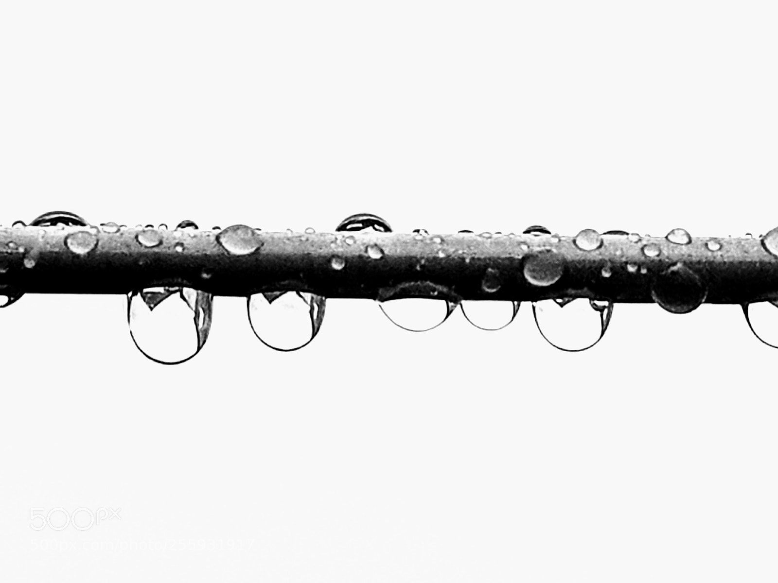 Samsung Galaxy S9+ sample photo. Drip drop. photography