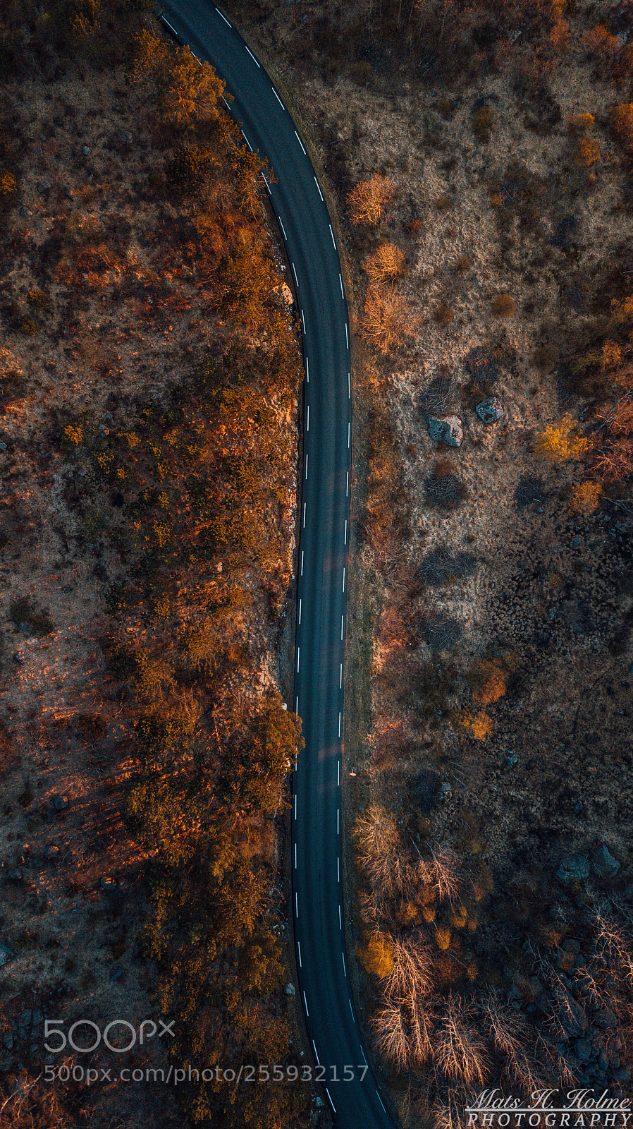 DJI FC220 sample photo. Empty road photography