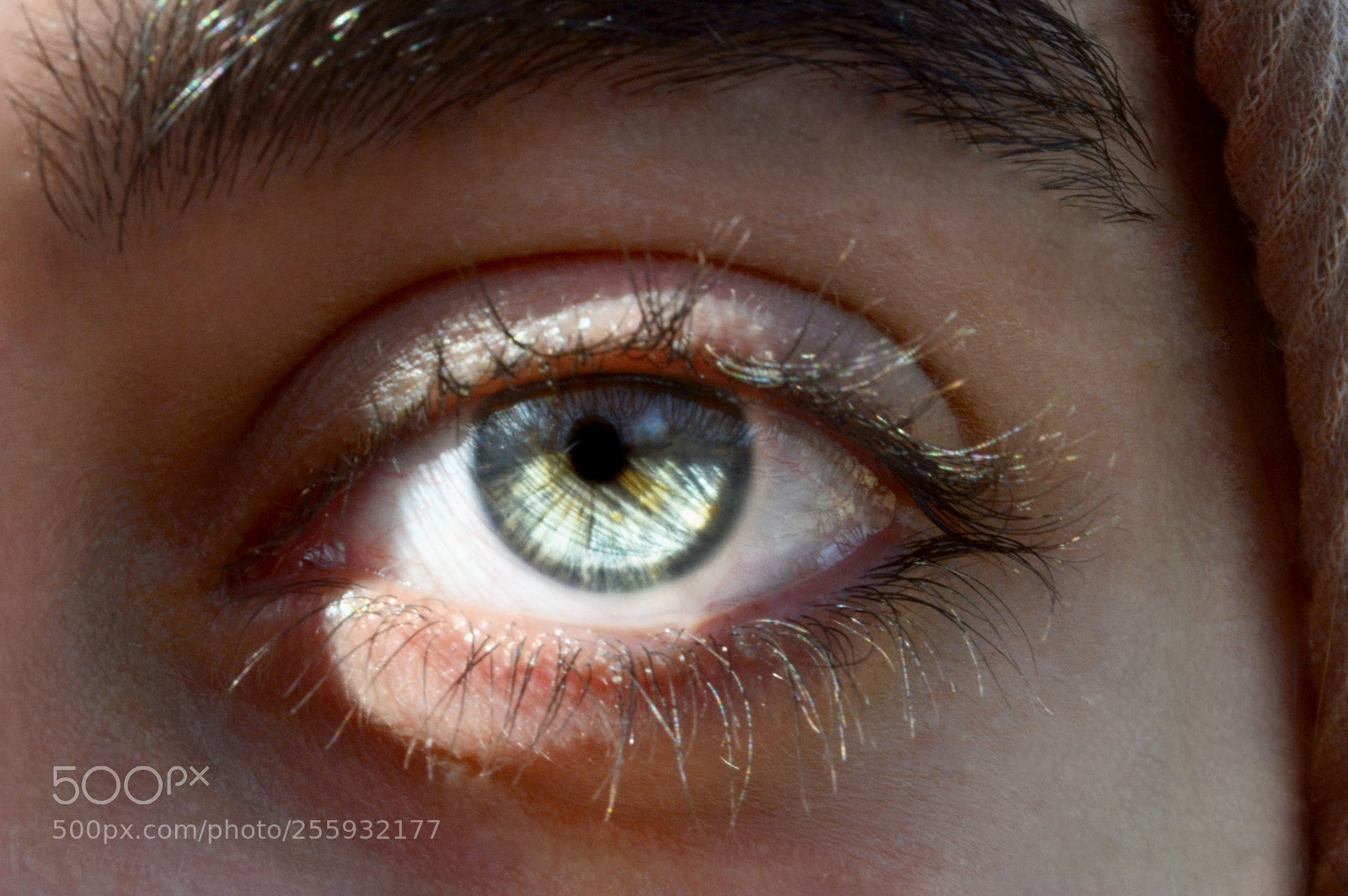 Nikon D3100 sample photo. Up close and personal photography
