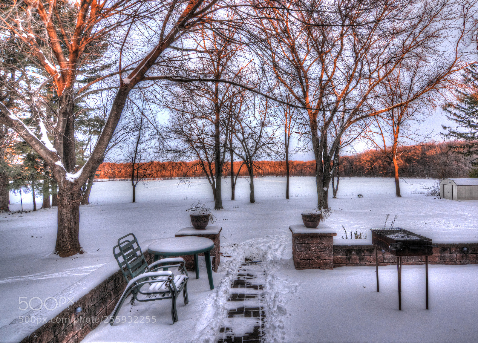Nikon D7100 sample photo. Backyard.. photography