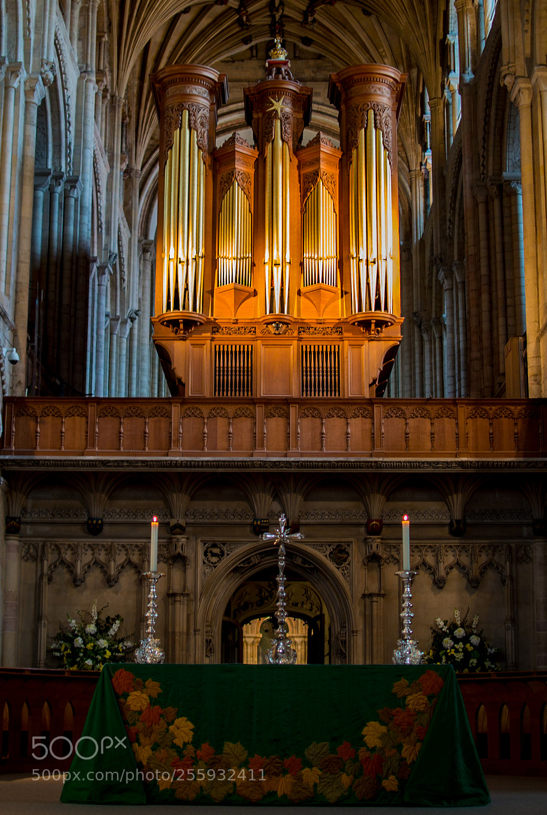 Nikon D3200 sample photo. Norwich cathedral, organ and photography