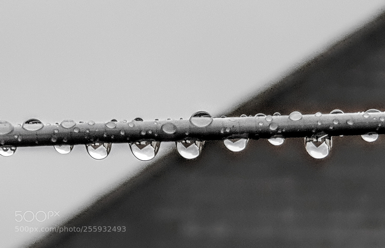 Samsung Galaxy S9+ sample photo. Drip drop 2. photography
