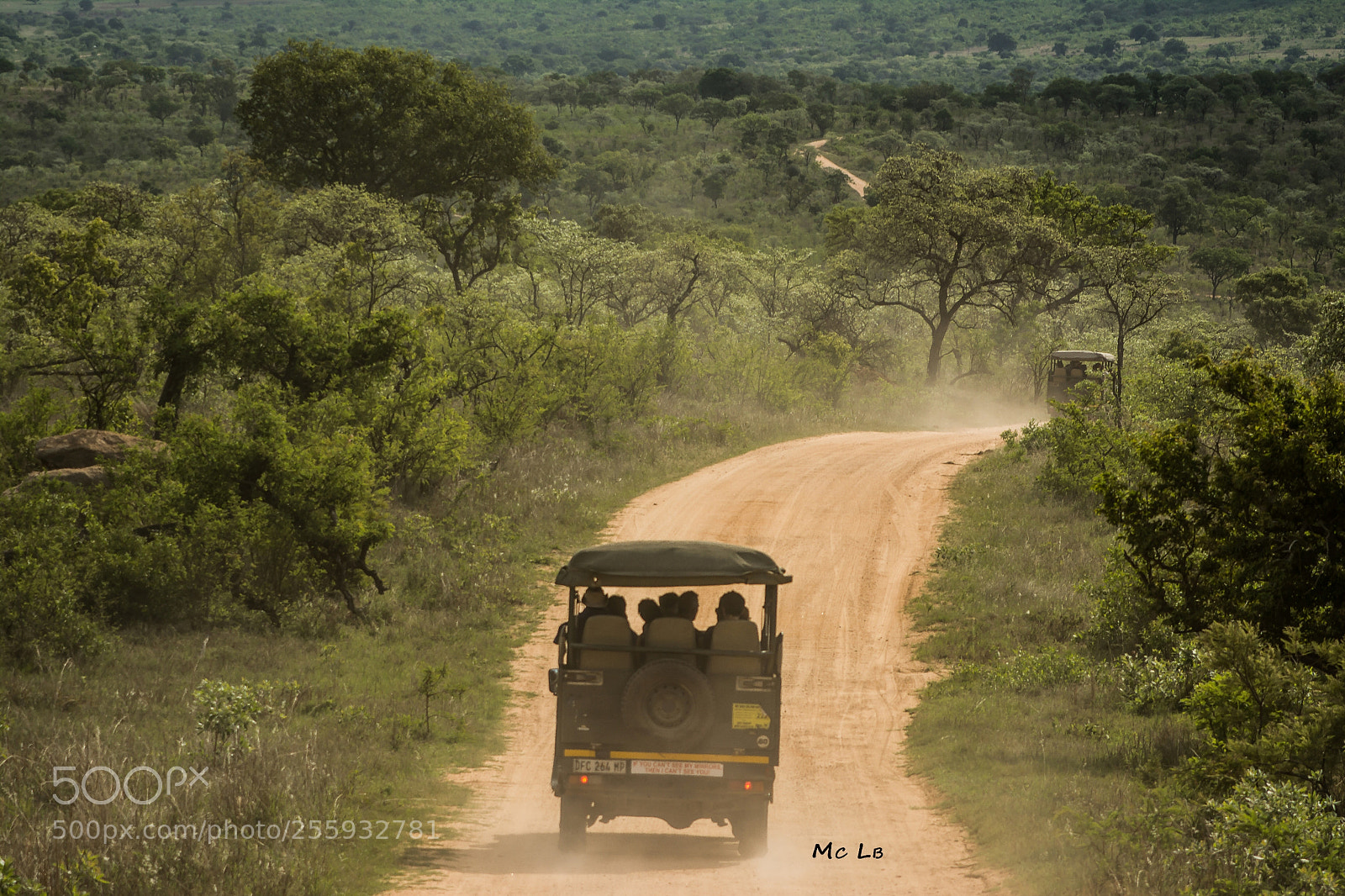 Nikon D7100 sample photo. The way to kruger photography