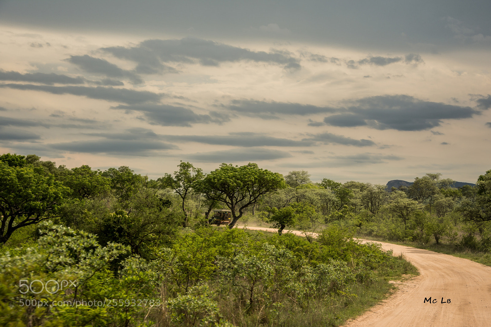 Nikon D7100 sample photo. The way to kruger photography
