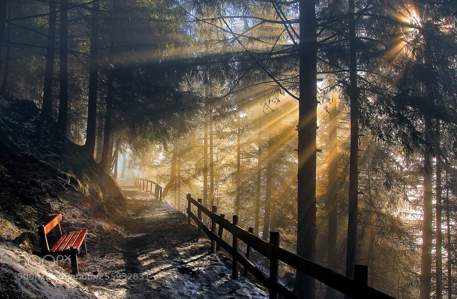 Canon EOS 60D sample photo. Foggy sun photography