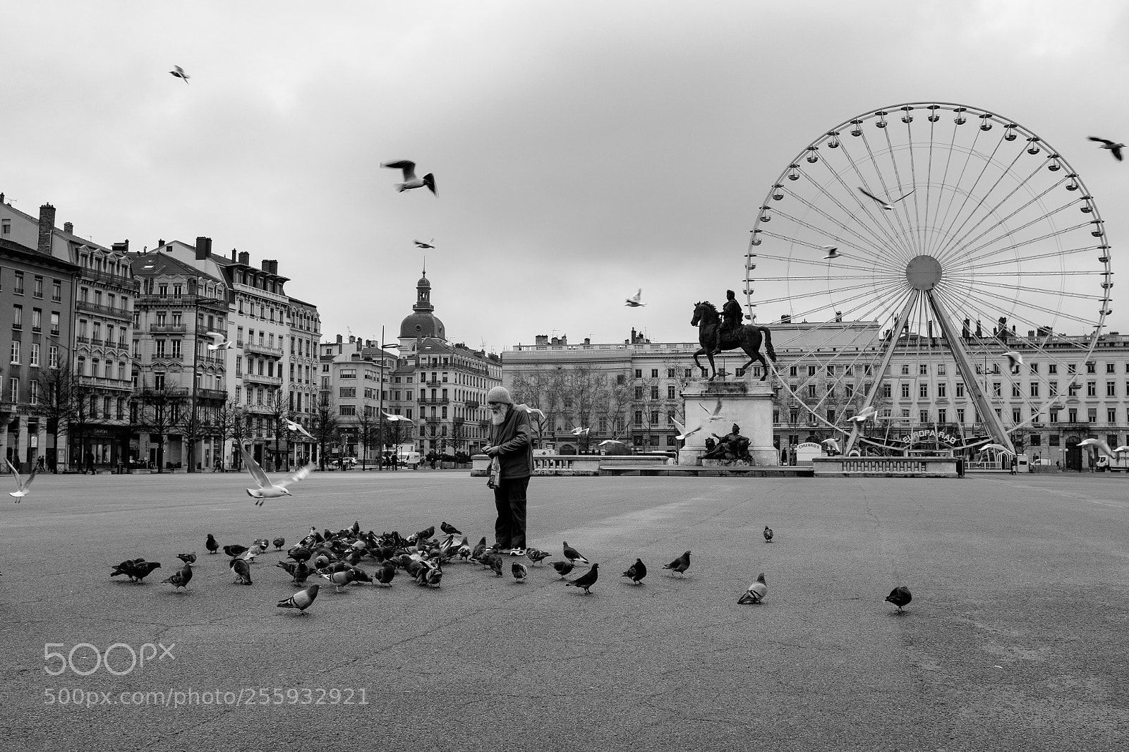 Fujifilm X100T sample photo. Le repas des oiseaux photography
