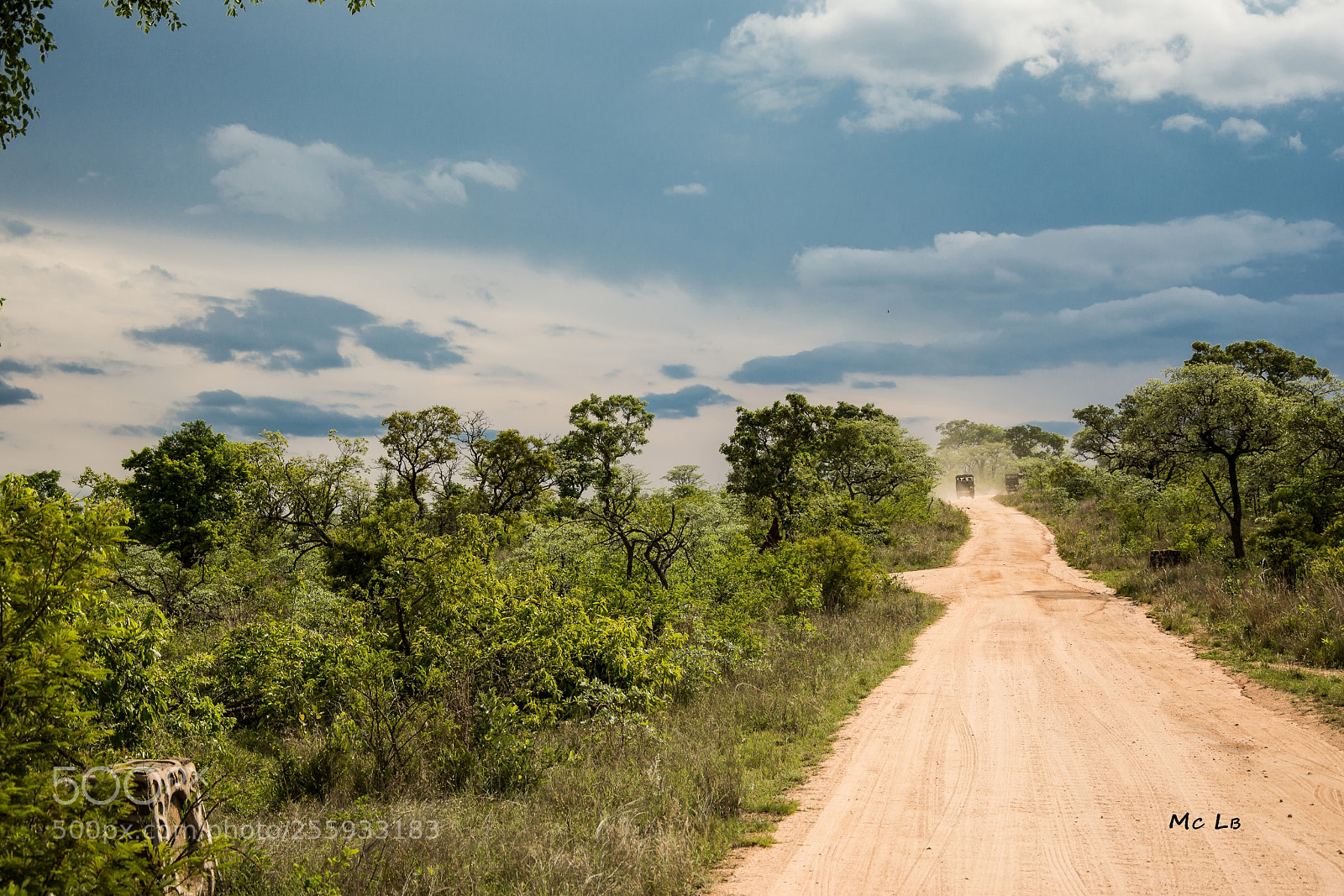 Nikon D7100 sample photo. The way to kruger photography