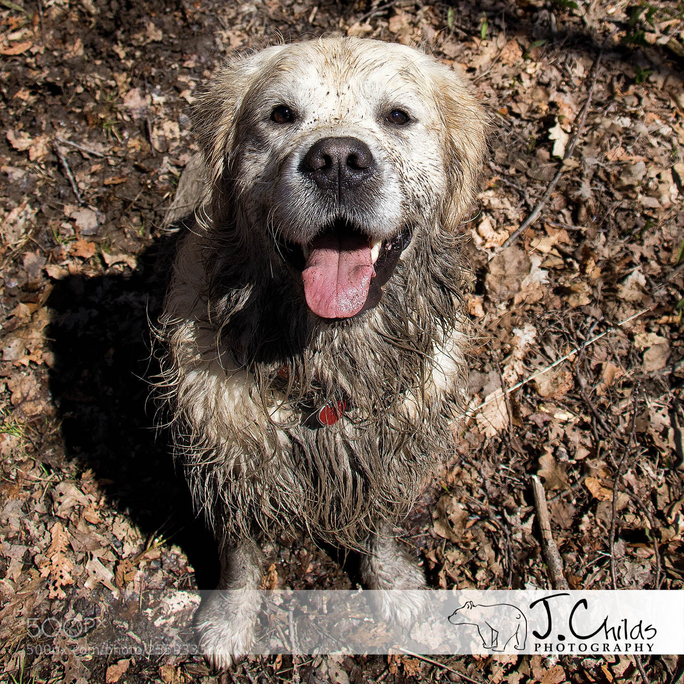 Canon EOS 7D Mark II sample photo. Loving the mud! photography