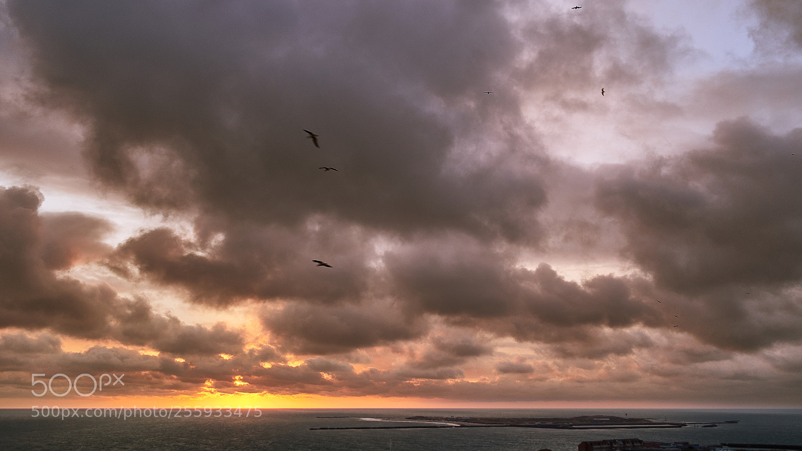 Nikon D500 sample photo. Sunrise on helgoland photography