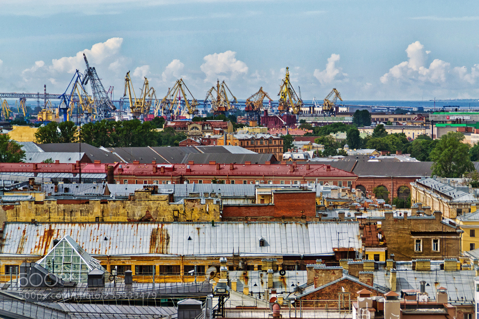Nikon D3100 sample photo. Piter photography