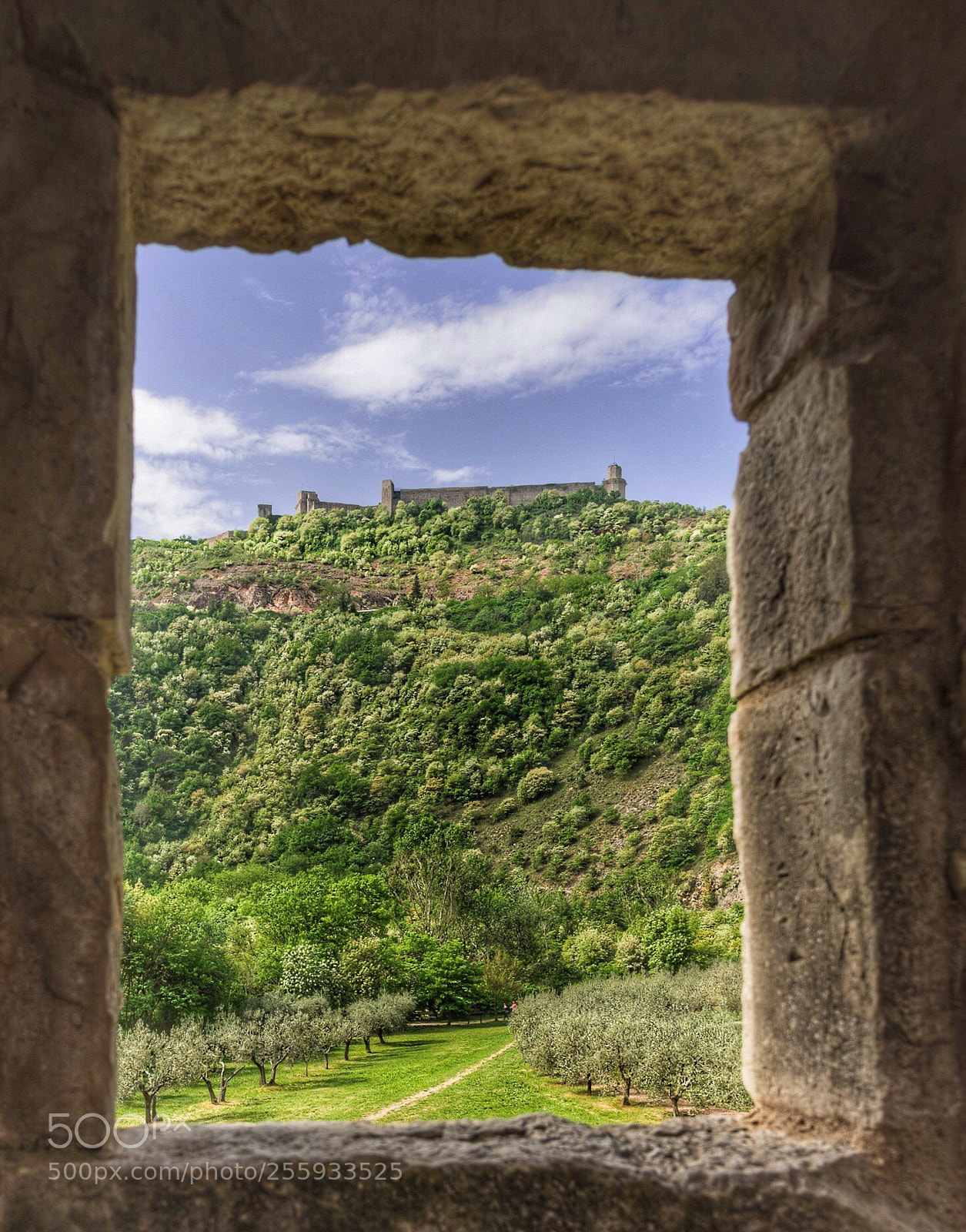 Nikon D750 sample photo. Torre annamaria photography