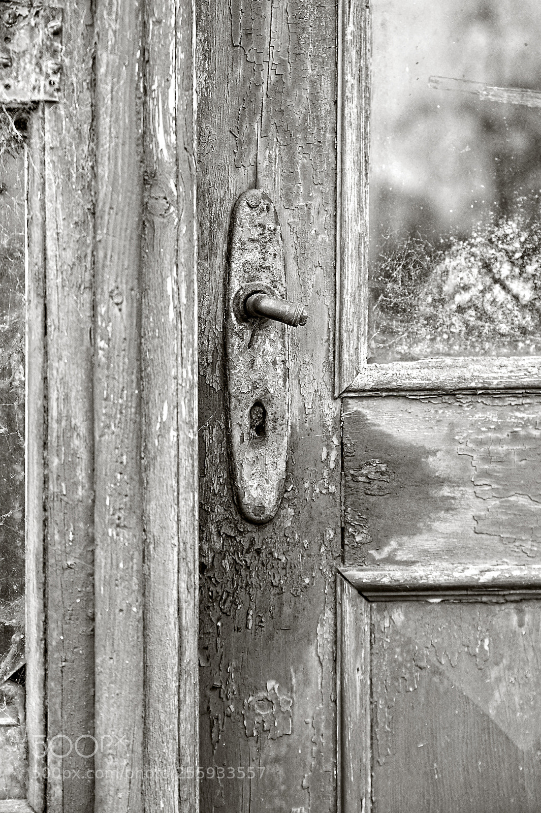 Nikon D700 sample photo. No handle photography