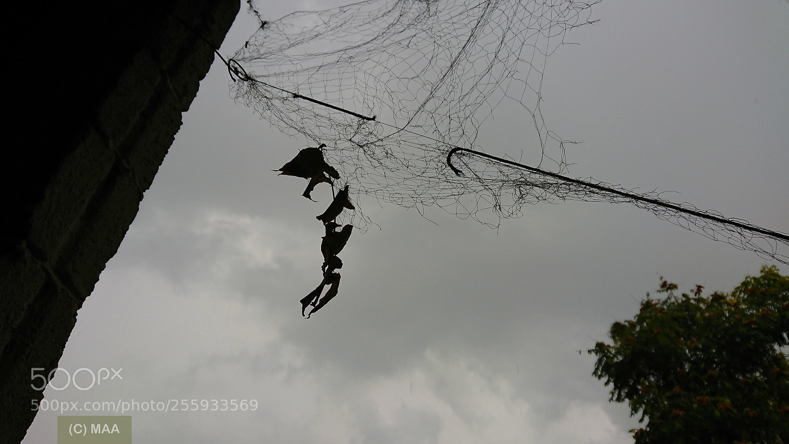 Sony Xperia XZ Premium sample photo. Trapped doughtier crying mother photography