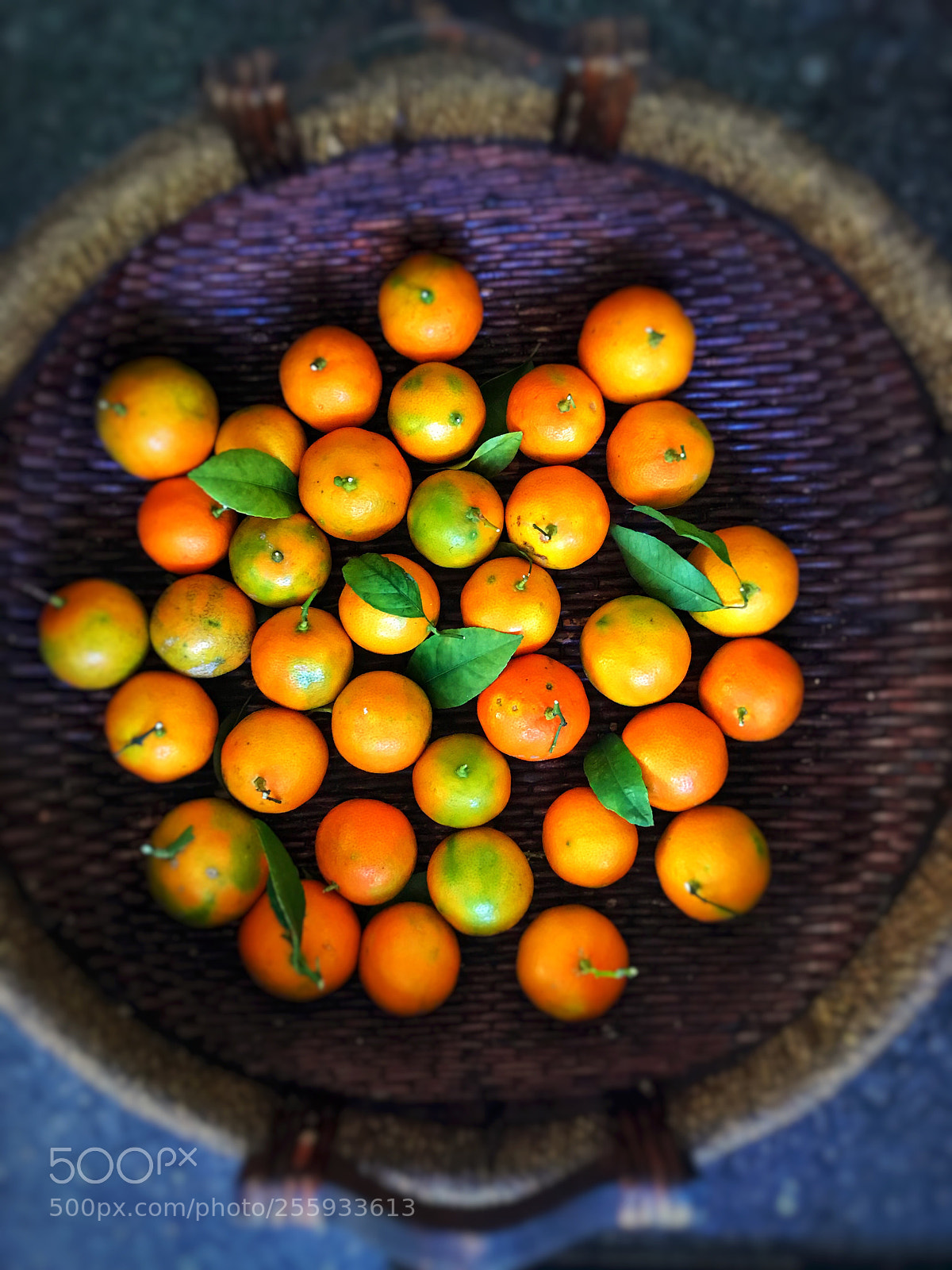 Apple iPhone 7 sample photo. Oranges? no, limes! photography
