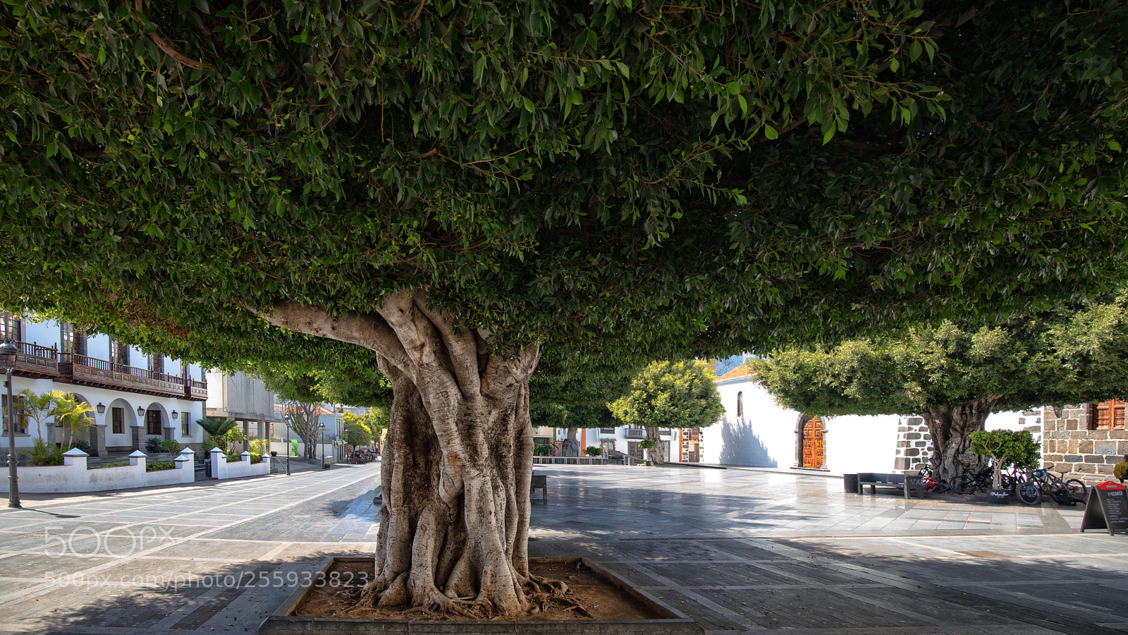 Canon EOS 5D Mark IV sample photo. Green energy photography