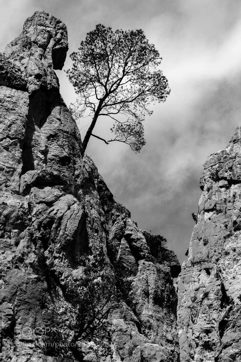 Canon EOS-1D Mark III sample photo. Vertical photography