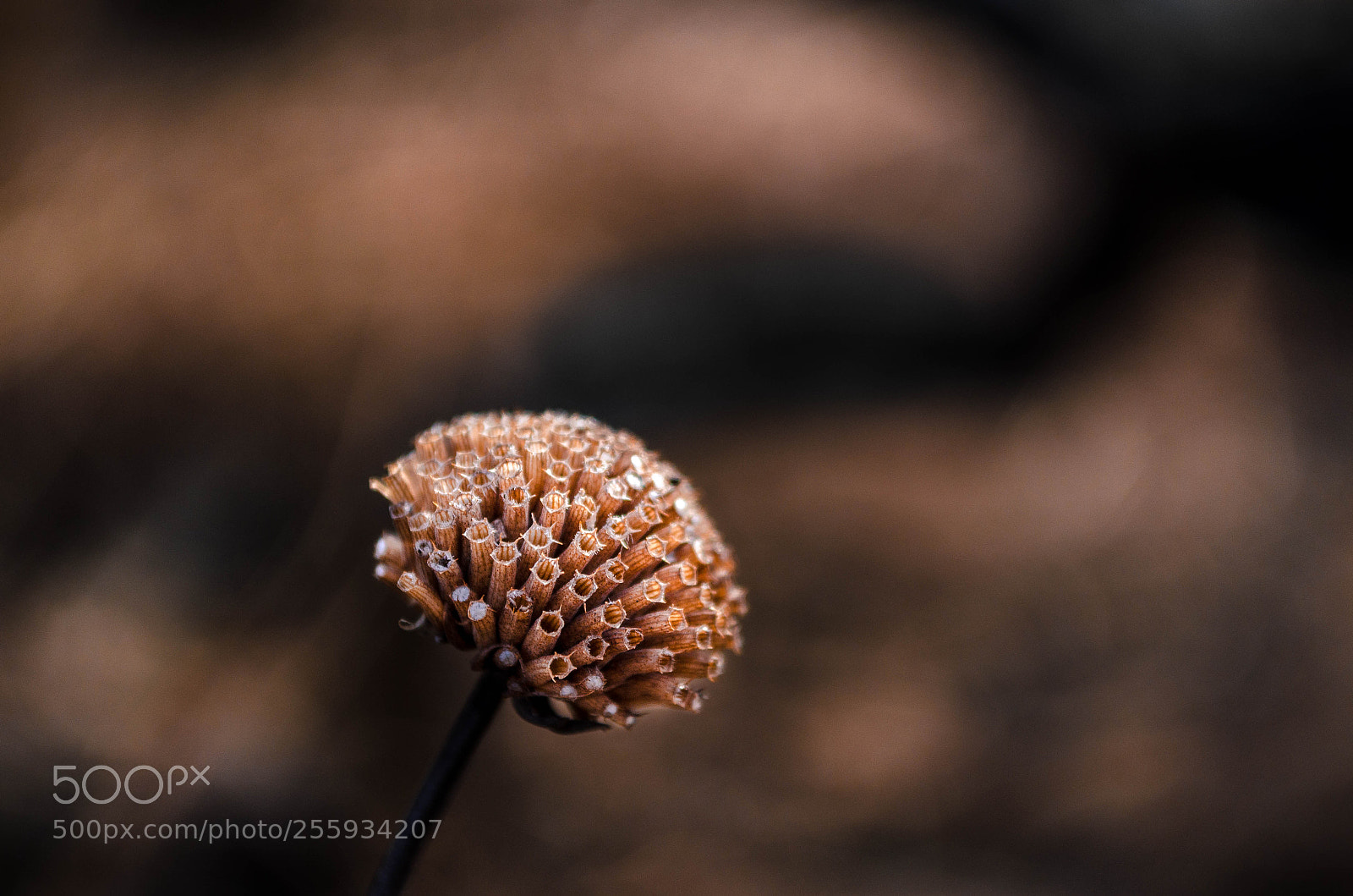 Nikon D5100 sample photo. Structure photography