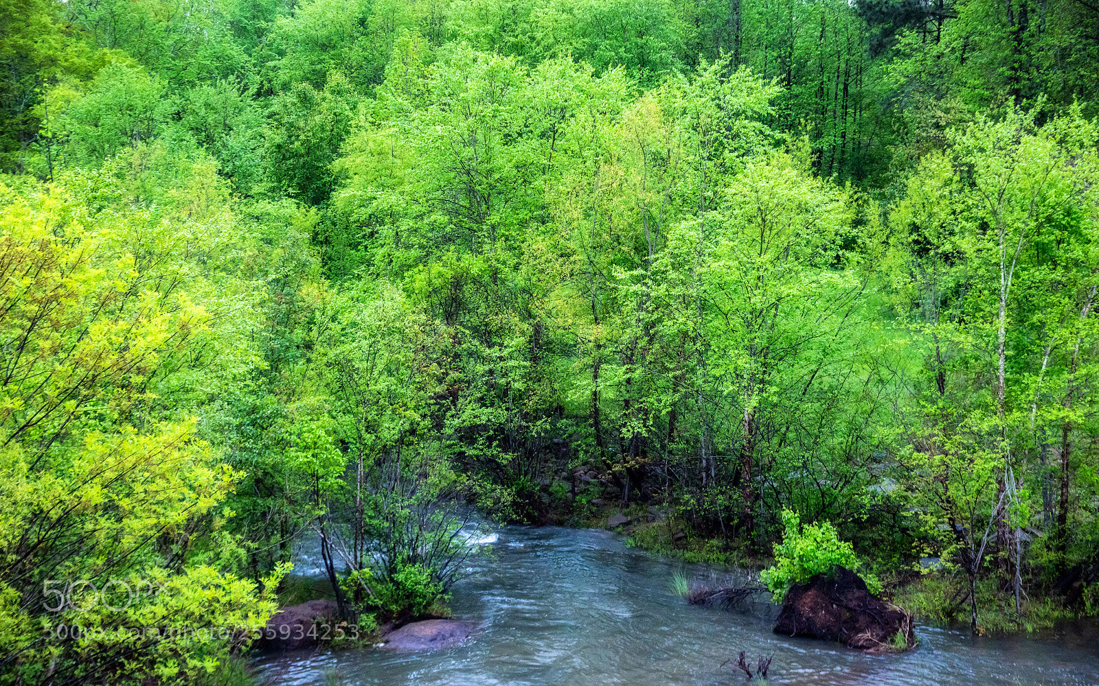 Nikon D810 sample photo. Green iii photography