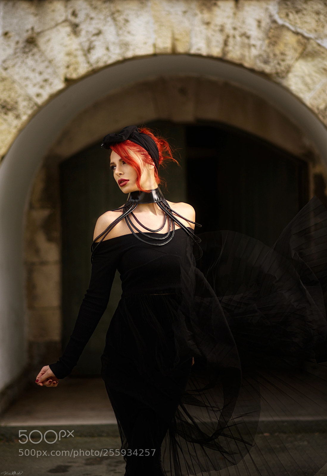 Nikon D750 sample photo. Negin photography