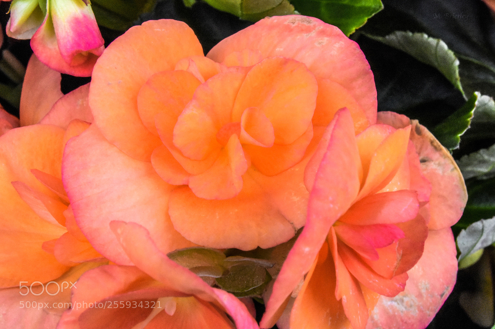 Nikon D3400 sample photo. Colour photography