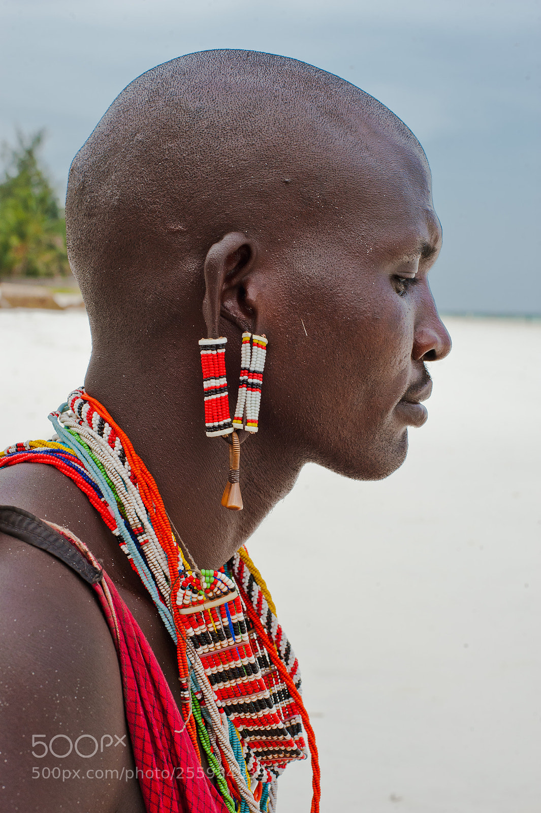 Nikon D700 sample photo. Portrait of a maasai photography