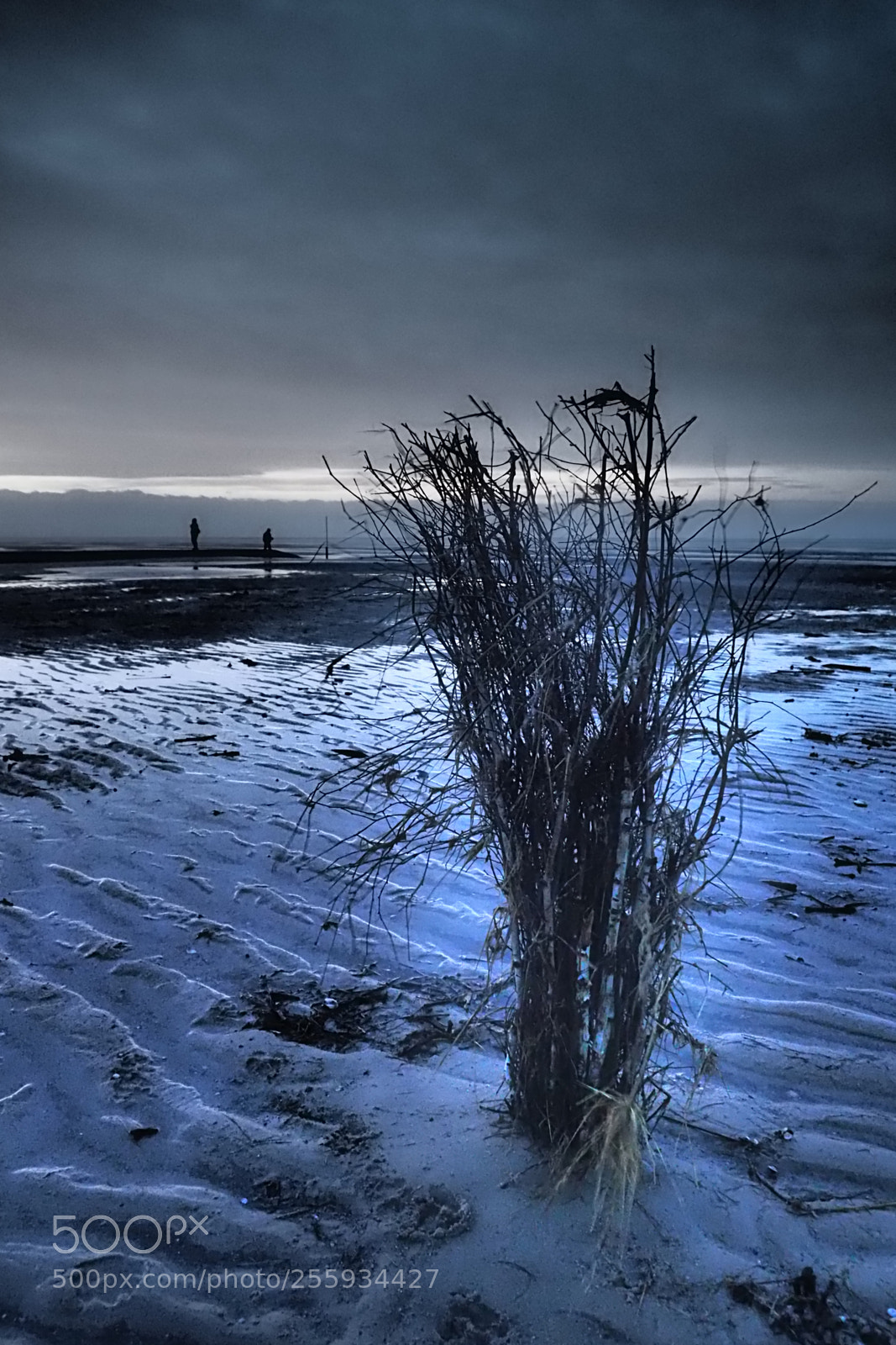 Olympus OM-D E-M5 II sample photo. Low tide photography
