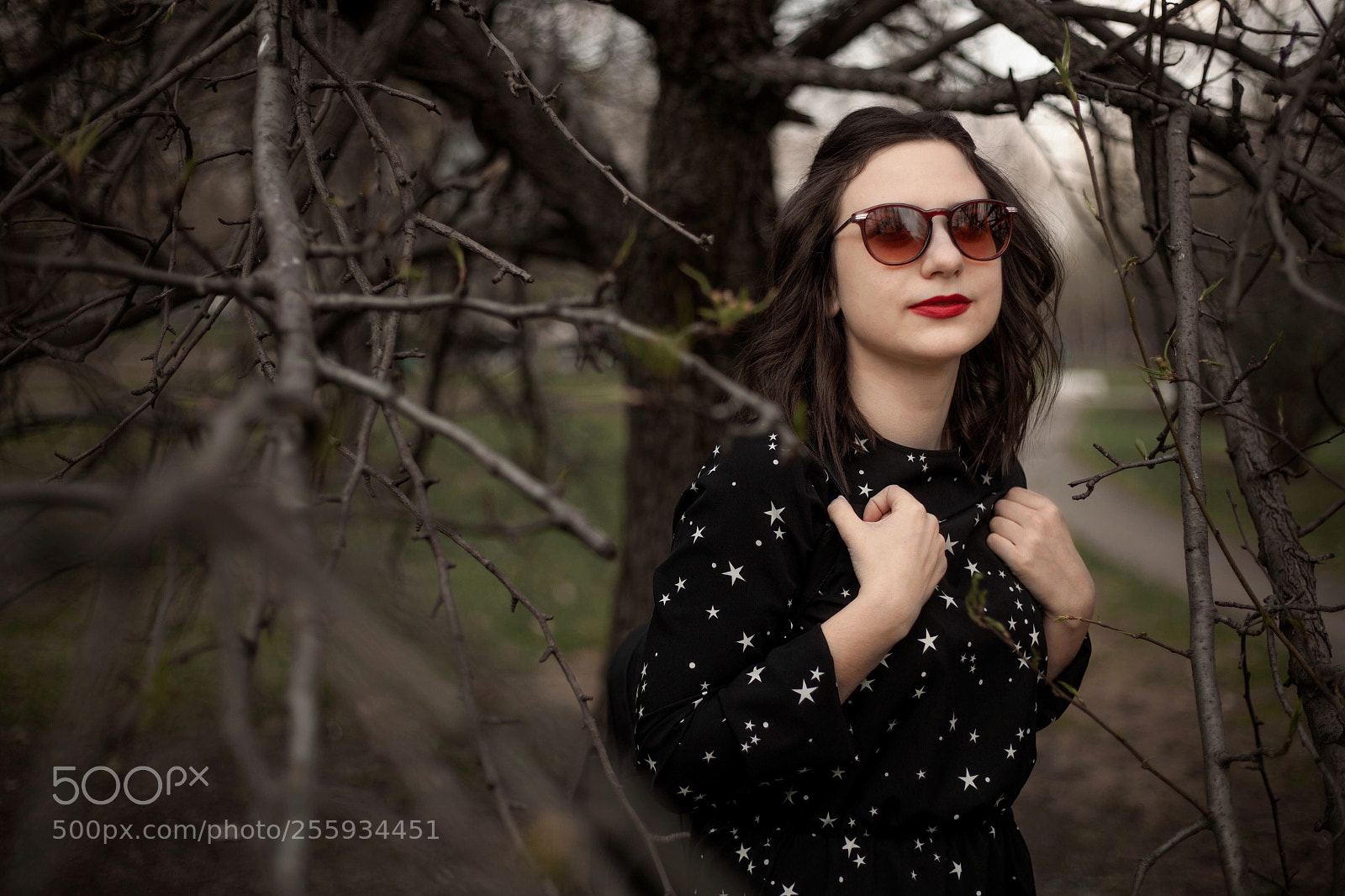 Canon EOS 5D Mark II sample photo. Untitled photography