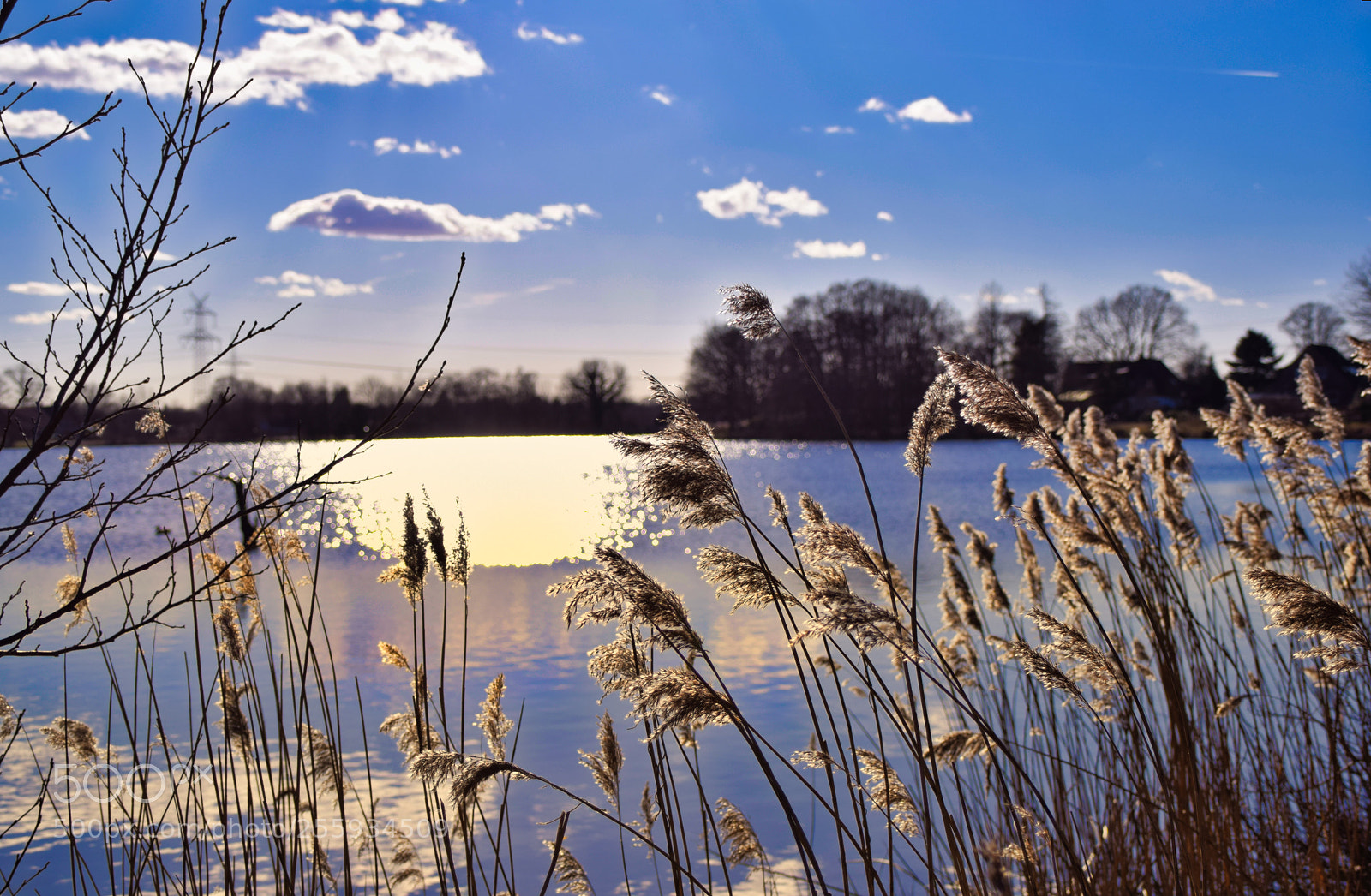 Nikon D3300 sample photo. Sonne am see photography