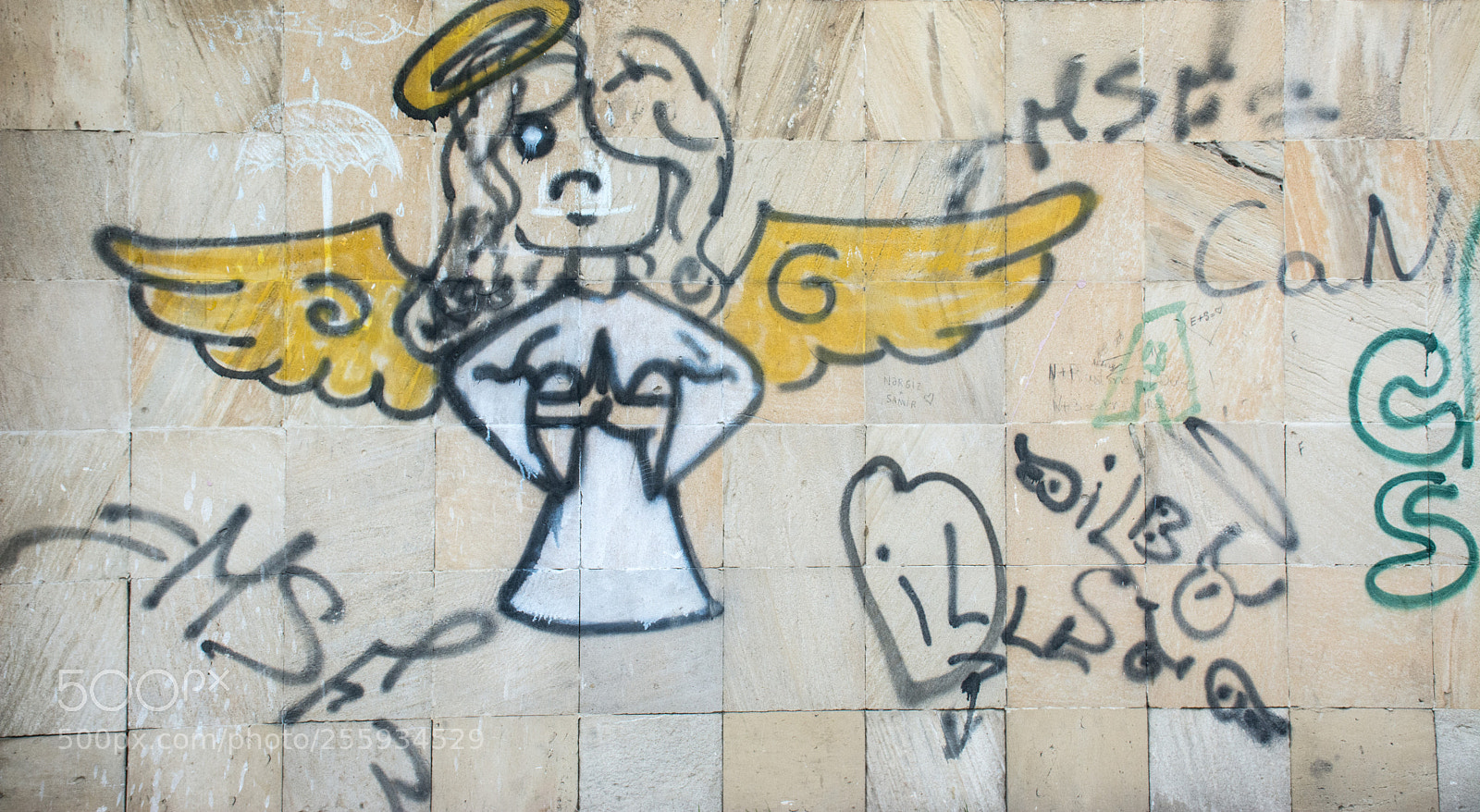 Nikon D7100 sample photo. It's not me photography